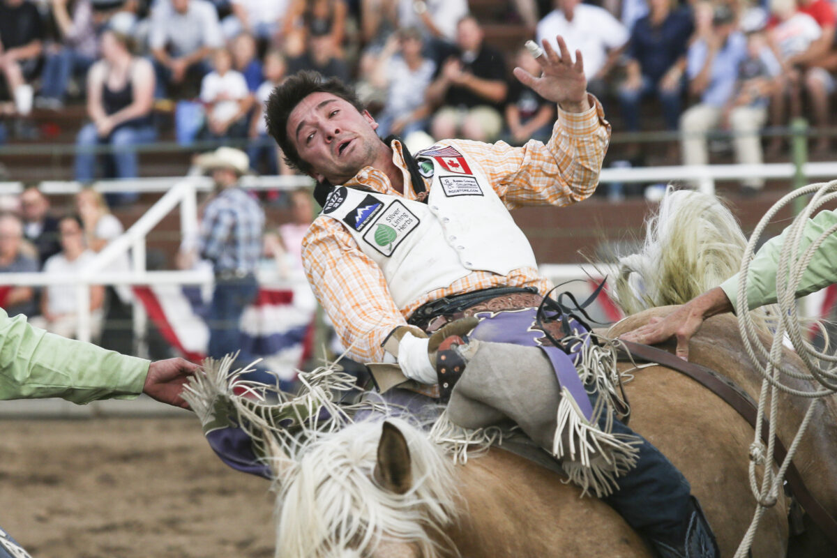 Tremonton cowboy consistently winning money at WNFR News, Sports, Jobs StandardExaminer